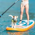 Deska SUP Aqua Marina Pure Air 10'10" Minicombo PA-25T330X + pompka elektryczna PBG 6