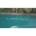 Deska SUP Spinera Suptour 13'0" 22224